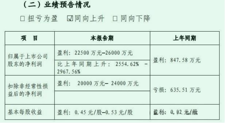 装饰原纸龙头—齐峰新材2023年净利预增超25倍成“预增王”