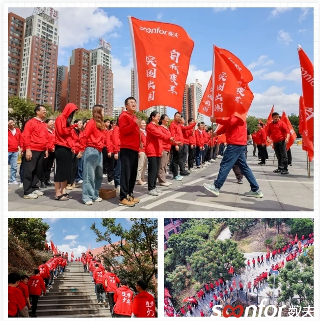 自我变革，突围出圈！富联娱乐软件2024新春团建暨春茗会圆满举办！